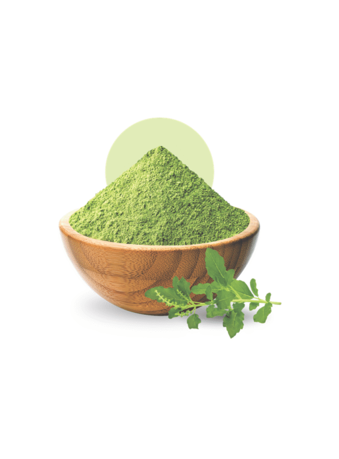 Tulsi Powder