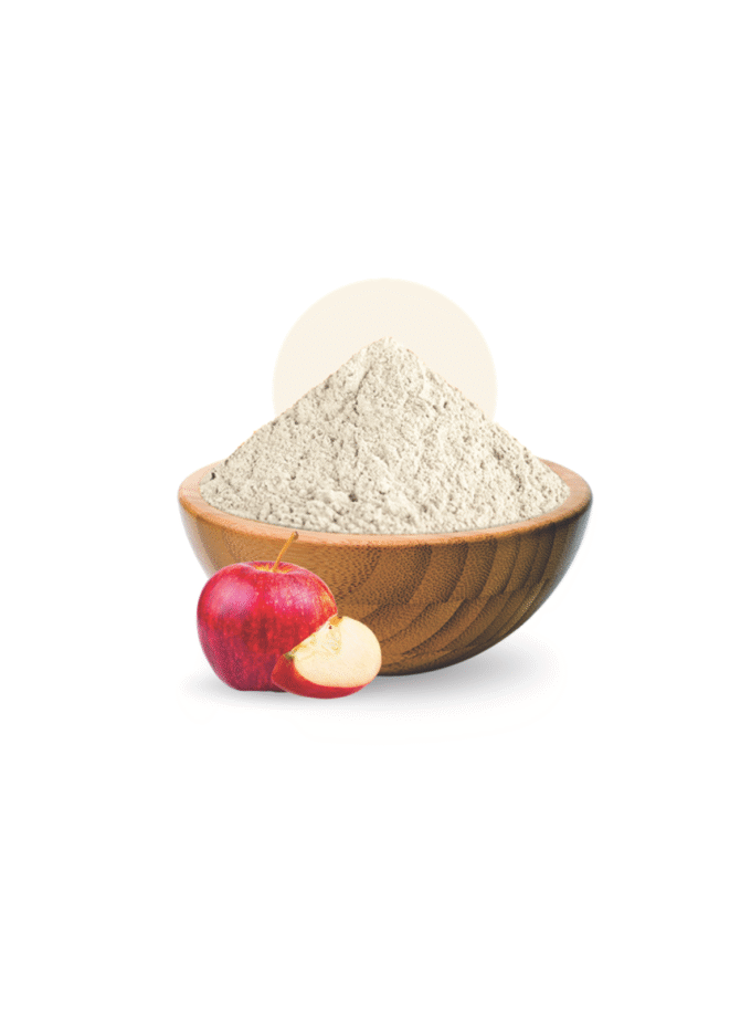 Apple Powder / Slice
