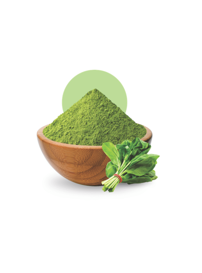 Spinach Powder